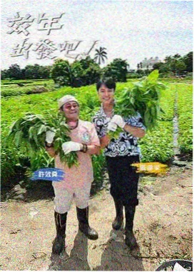 浪漫剧推荐